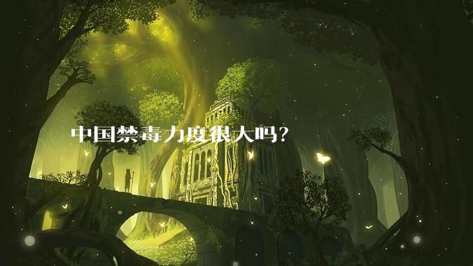 中国禁毒力度很大吗？