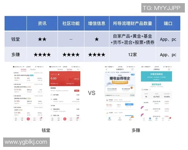 上海极限运动队实力全面对比分析与发展潜力探讨