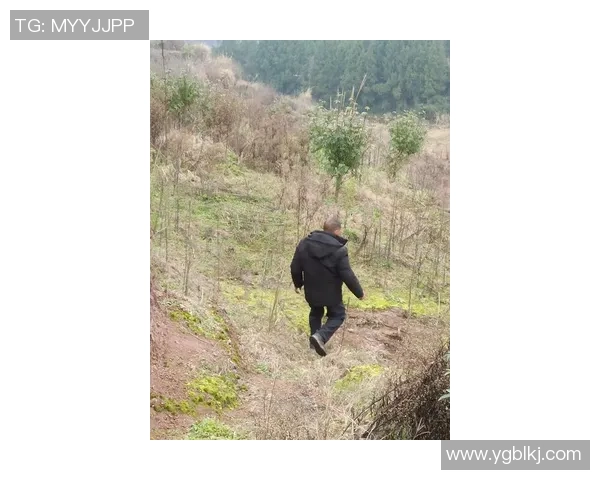 极限运动的成功秘诀李伟分享个人经历与心路历程